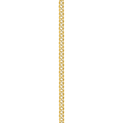 18K Yellow Gold Curb Link Anklet
